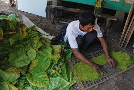Tarif Cukai Tembakau Disebut Akan Pengaruhi Persaingan Usaha