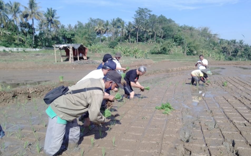Dispangtan Purwakarta Dorong Petani Lakukan Percepatan Masa Tanam Di Bulan Okmar