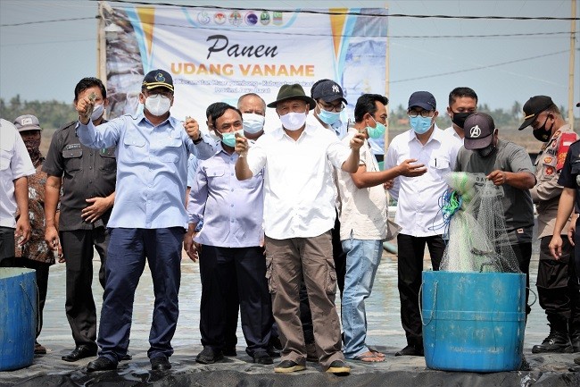 Kemenkop dan KKP Siap Fasilitasi Pengembangan Usaha Budidaya Udang Vaname 