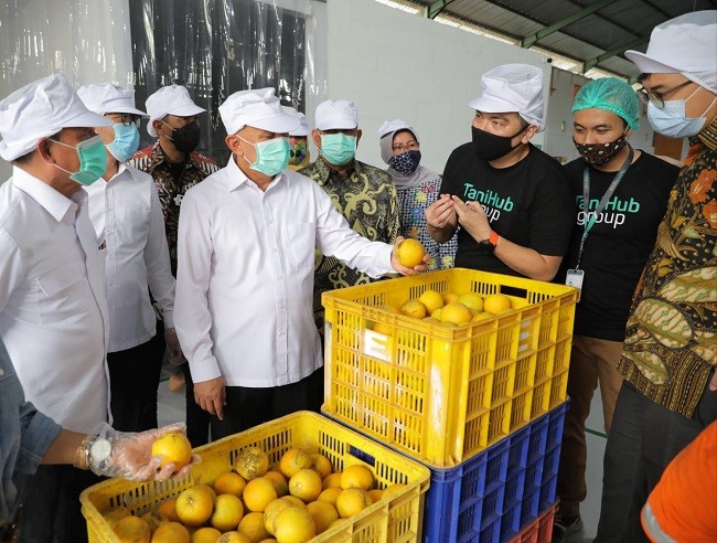 Serap Hasil Pertanian, Kemenkop Perkuat Kemitraan Koperasi dengan TaniHub 