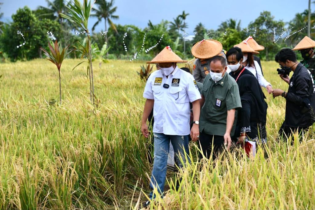Bamsoet Berikan Bantuan Alsintan Saat Panen Raya Padi Cianjur