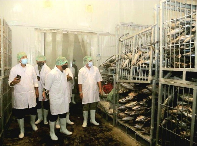 LPDB Dorong Bentuk Ekosistem Bisnis Perikanan di Mauluku