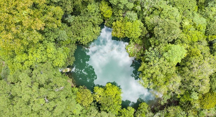 The Baker Hughes Foundation Hibahkan 250.000 Dolar untuk The Nature Conservancy