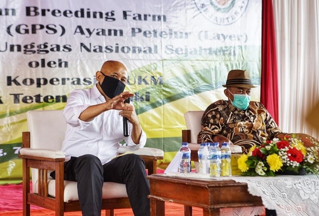 Dikuasai Perusahaan Asing, Koperasi Unggas Didukung Masuk ke Bisnis Pembibitan Ayam 
