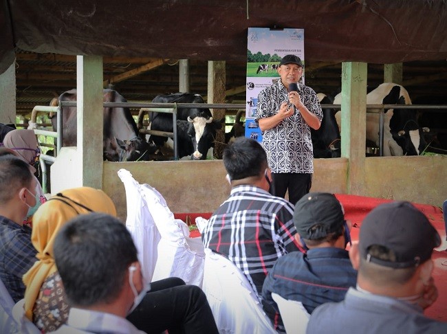 Koperasi Peternak Sapi Didorong Punya Industri Pengolahan Susu