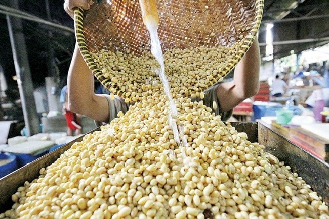 Harga Kedelai Melambung, Jokowi Diminta Evaluasi Mentan 