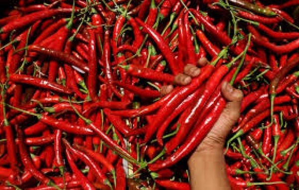 Harga Cabai Melangit, Emak-emak Menjerit