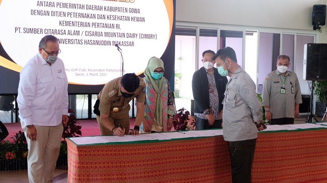 Tingkatkan Produksi Susu Sapi Segar, Ini yang Dilakukan Ditjen PKH Kementan
