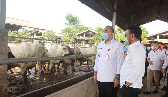Jelang Puasa dan Lebaran, Mentan Pastikan Pasokan Daging Tersedia