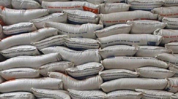 Harusnya Bulog Menyerap Hasil Petani Bukan Impor Dari Luar Negeri