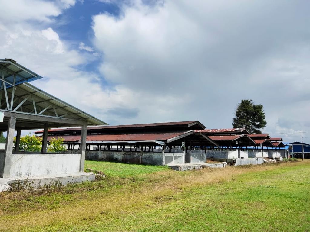 Kementan Segera Wujudkan Unit Perbibitan Babi Bebas ASF