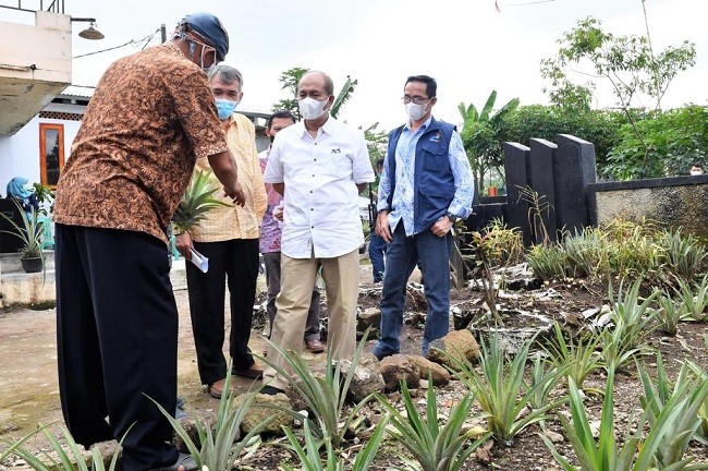 Kemenkop Siapkan Rumah Produksi Bersama Olahan Nanas di Kab Subang 
