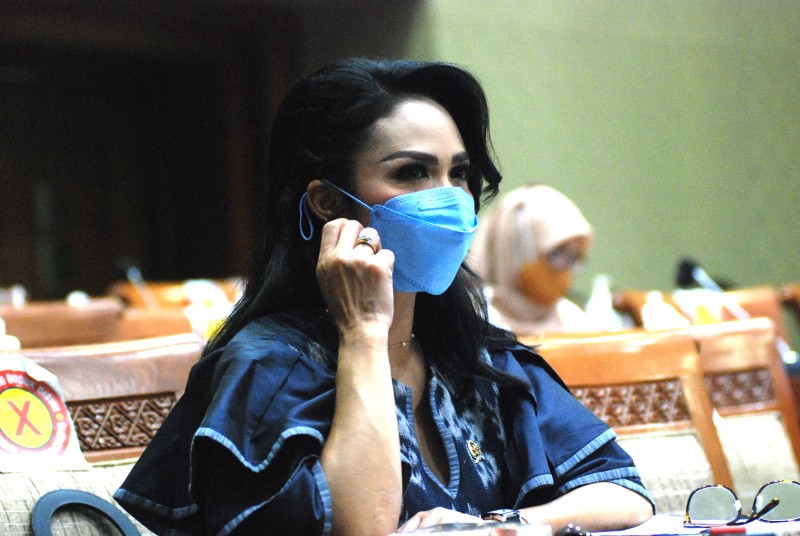 Krisdayanti Raker Dengan Menaker DI Komisi IX DPR