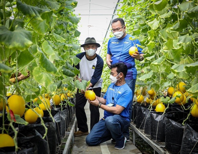 Kemenkop Akan Fokus Kembangkan Model Bisnis Sektor Pertanian
