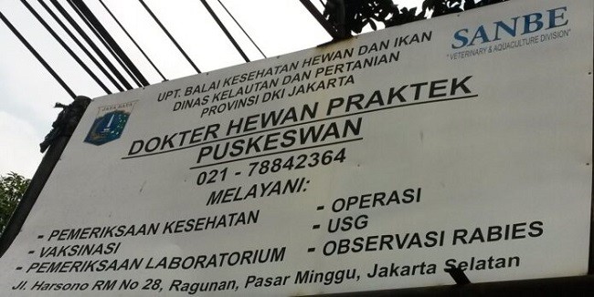 Optimalkan Layanan Kesehatan Hewan, Kementan Dorong Penguatan Puskeswan 