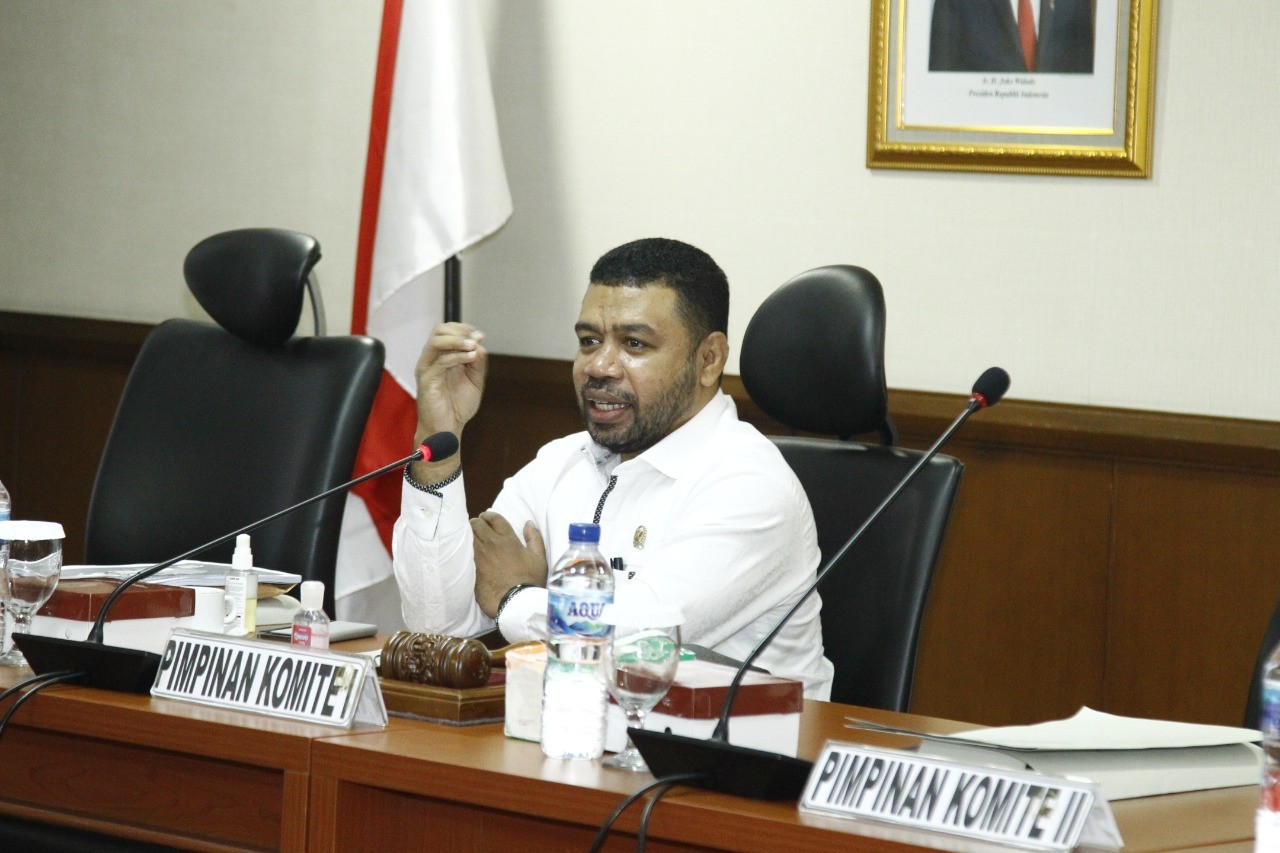 Soal Gugatan Perdata Luhut ke Haris Azhar, Begini Kata Senator Filep