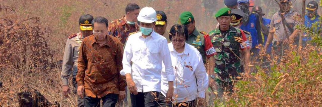 Menteri Siti Sebut Komitmen Indonesia Soal Pengendalian Perubahan Iklim Dunia Diakui