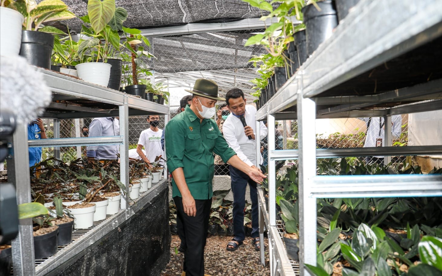 Potensi Pasar Tanaman Hias Capai Rp3.000 Triliun, Indonesia Baru Raup Untung 0,01 Persen