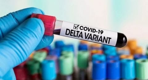 Kasus Baru Varian Detla di China Kian Meyebar 