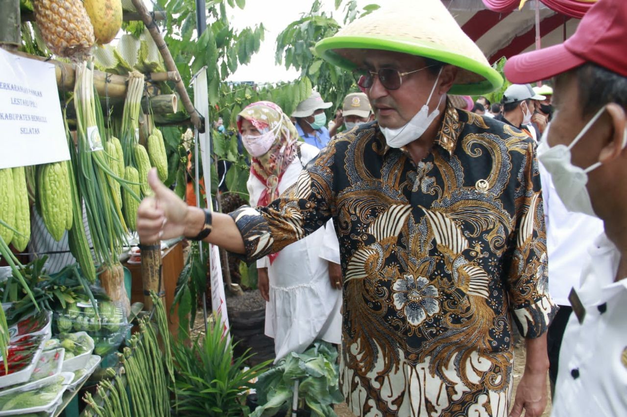Hadiri Panen Raya Jagung, Fadel Muhammad Dorong Daerah Tingkatkan Komoditas Pangan
