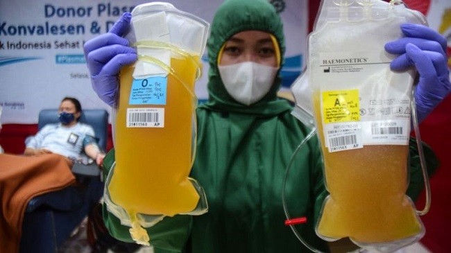 WHO Anjurkan Tak Pakai Plasma Konvalesen untuk Pasien Covid-19