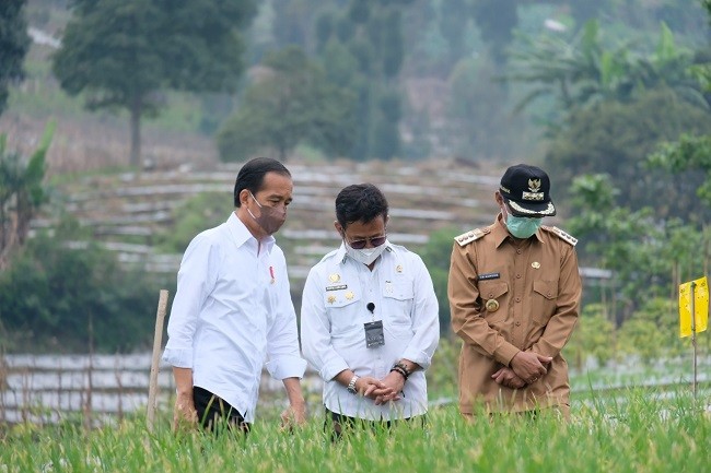 Lewat Food Estate di Wilayah Tawon Diharapkan Beri Manfaat Lebih Bagi Petani