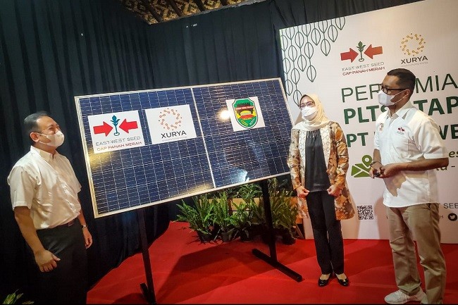 Dukung Ekonomi Hijau, EWINDO Operasikan PLTS