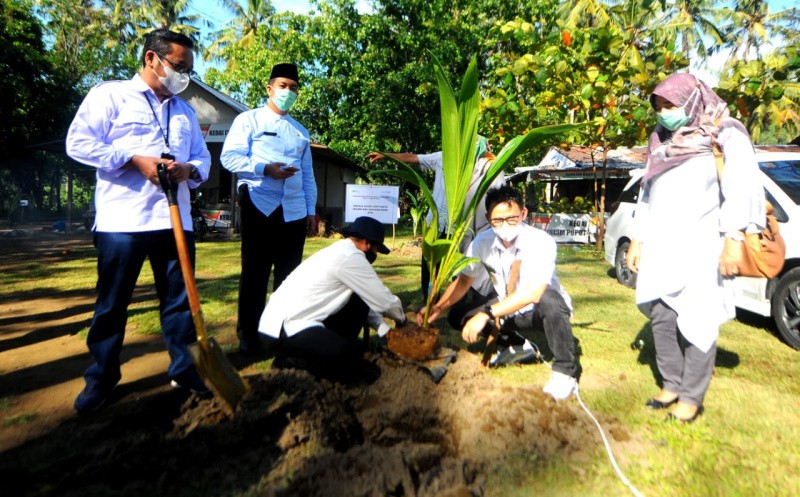BTN Dorong Penanaman Bibit Kelapa Hibrida