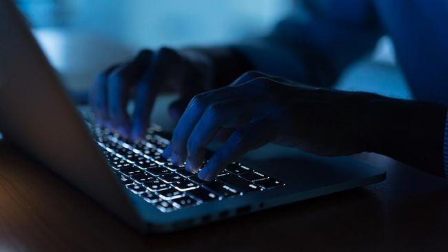 Situs Pemerintah Ukraina Jadi Sasaran Serangan Siber, AS Tawarkan Bantuan