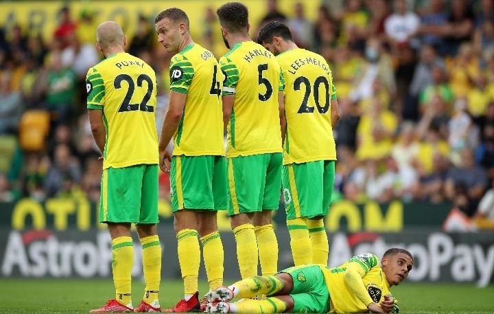 Pertandingan Watford vs Norwich City Berakhir dengan Skor 0-3