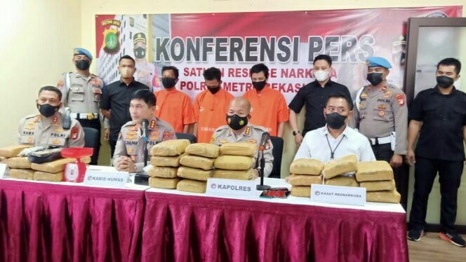 Polres Kota Bekasi Sita 31 Kilogram Ganja Siap Edar Asal Sumatera Utara