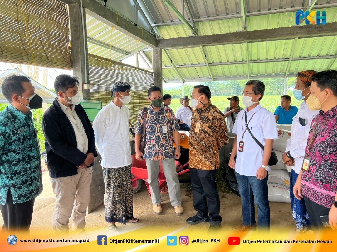 Kementan Dukung Program Desa Peternakan Terpadu Berkelanjutan, Ini Keuntungannya
