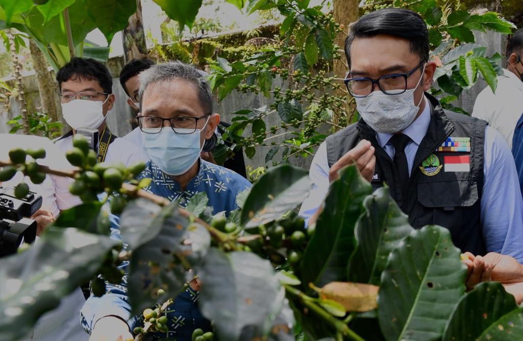 Lepas Ekspor Kopi, Koperasi Produsen di Garut Buktikan Daya Saingnya