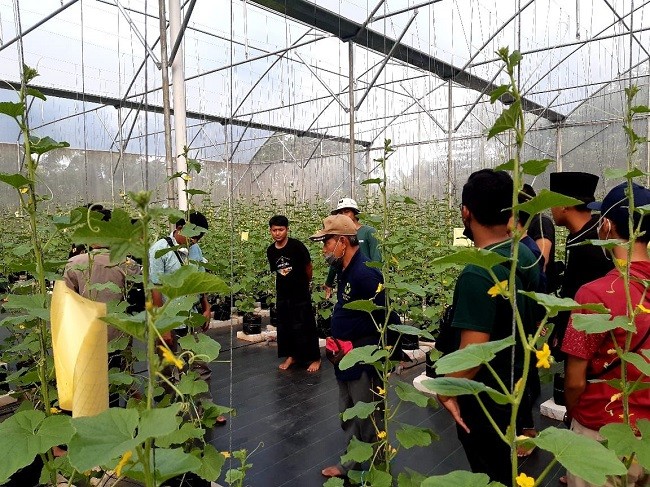 Kiprah Tiga Pendatang Baru Lembaga Inkubator LPDB-KUMKM Tahun 2022