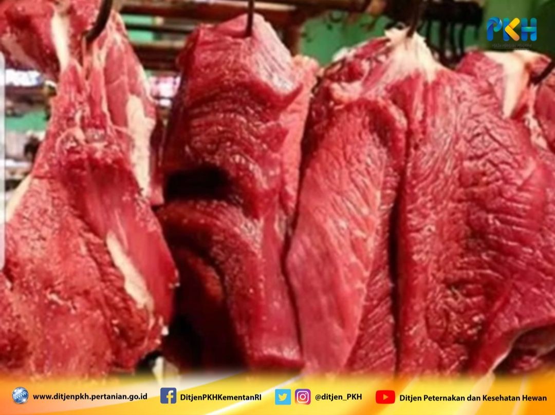 Atasi Kenaikan Harga Daging Sapi, Pemerintah Harus Hentikan Ketergantungan Impor