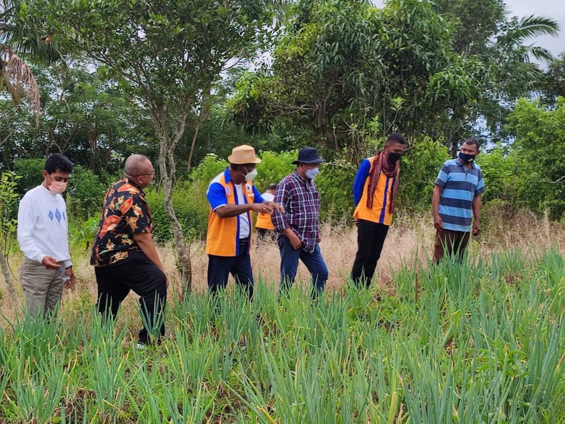 Dengan Koperasi Obor Mas, LPDB-KUMKM Dukung Penuh Program Ketahanan Pangan di NTT