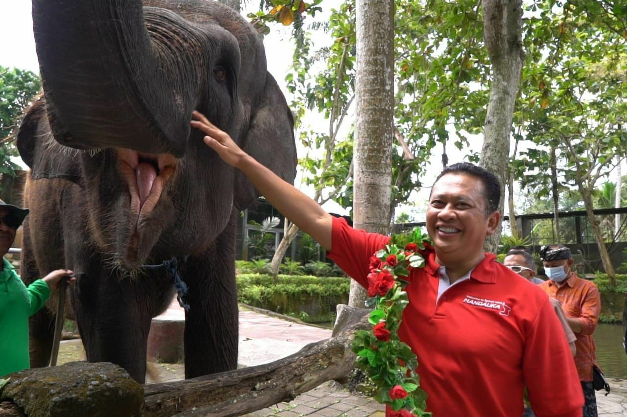 Bamsoet Kunjungi Wisata Bakas Levi Rafting Elephant Tour di Klungkung Bali