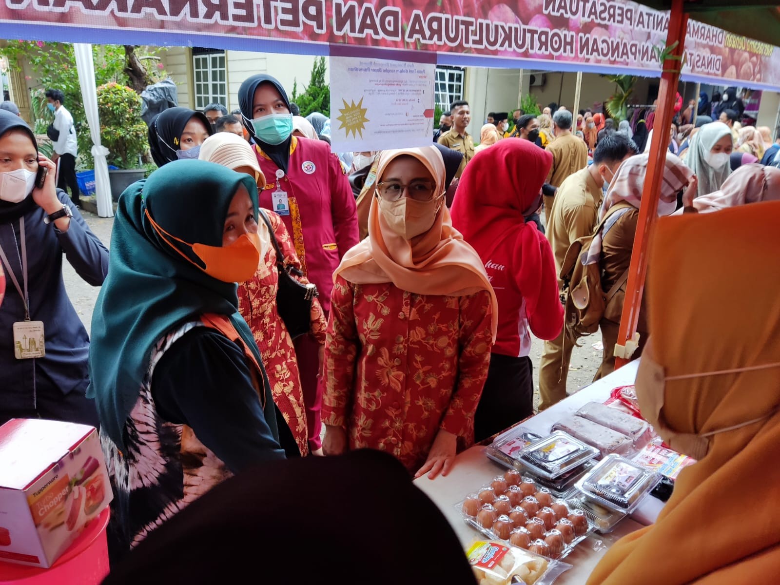 Kementan Pastikan Ketersediaan Telur Ayam Ras di Jambi Aman