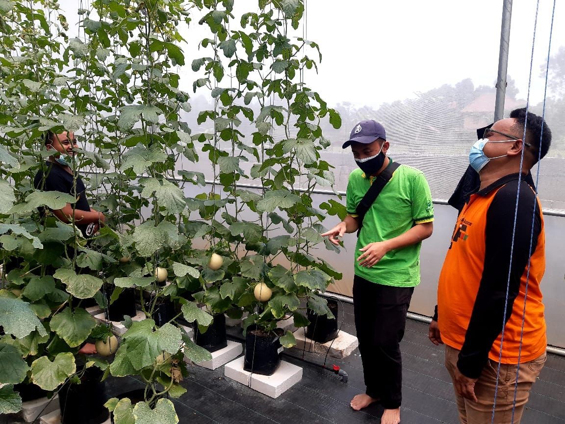 Kolaborasi dengan PUM Belanda, Inkubator ALEC Perkuat Program Wirausaha LPDB-KUMKM