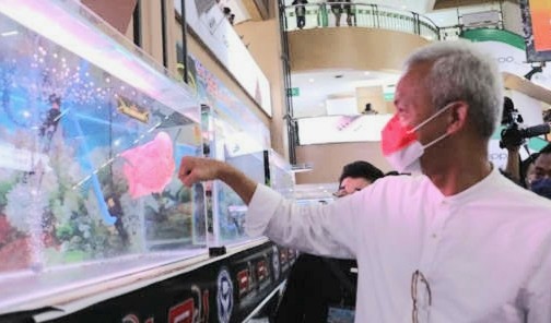 Dukungan Kontes Louhan Gubernur Cup, Ganjar Pranowo: Ini akan jadi Potensi   Bagus