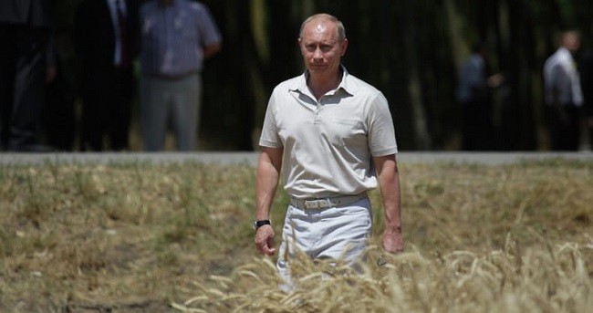 Moskow Sebut Upaya G7 Isolasi Rusia Hanya Perburuk Krisis Pangan Global 