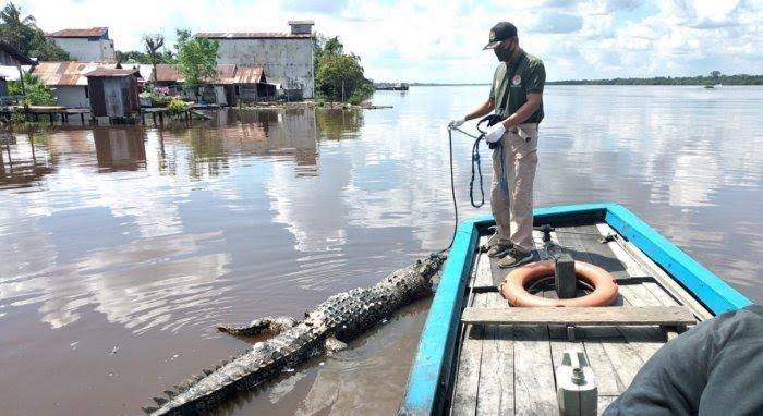 Sempat Ditarik Buaya ke Dalam Sungai, Ibu Ini Bersyukur Bisa Selamat