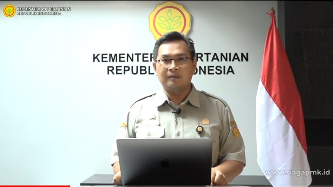 Begini Cara Kementan Tangani dan Kendalikan PMK
