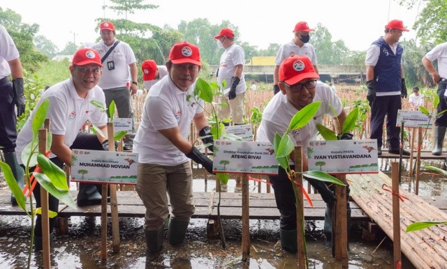 Bank DKI Tanam Bibit Pohon Mangrove