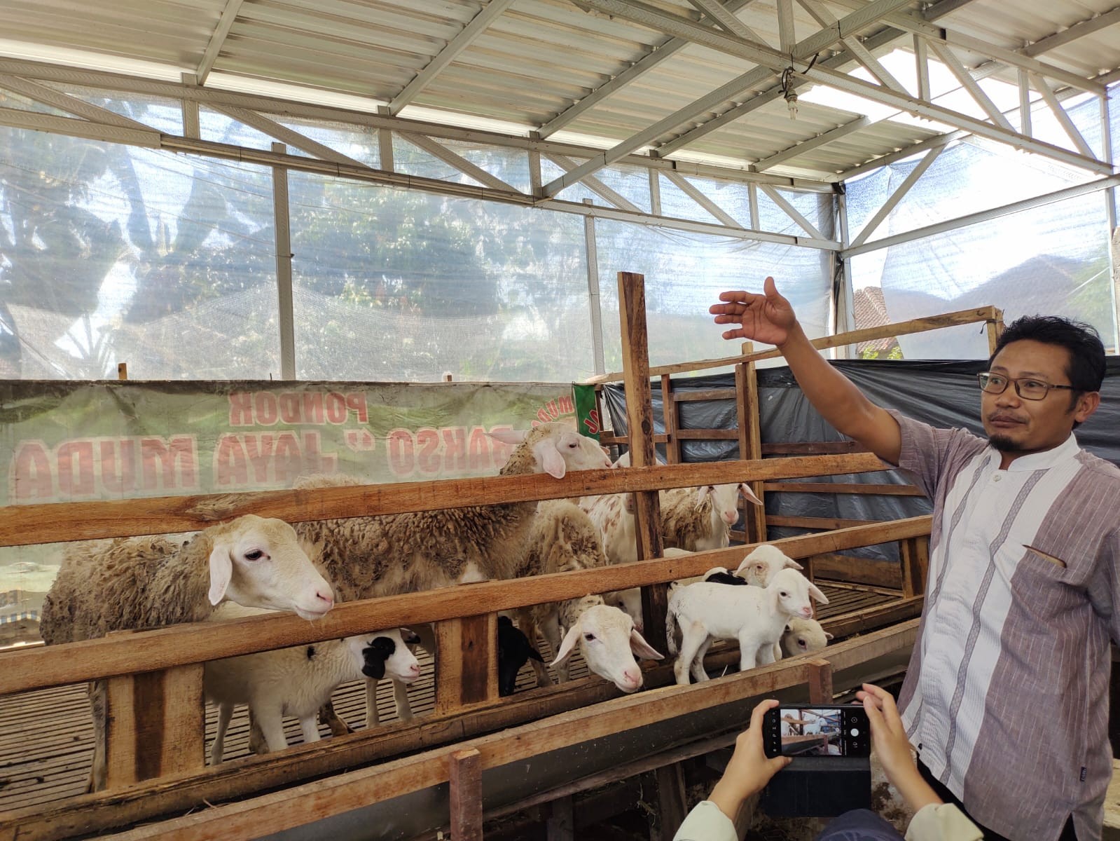 Fasilitasi KUR untuk Pembibitan dan Budidaya Kambing, Kementan Gandeng Perbankan