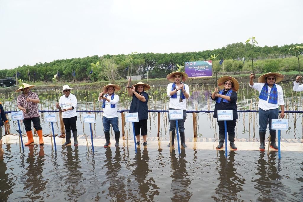 Komitmen Jaga Lingkungan, NasDem Tanam Mangrove di 9 Kabupaten/Kota di Pantura