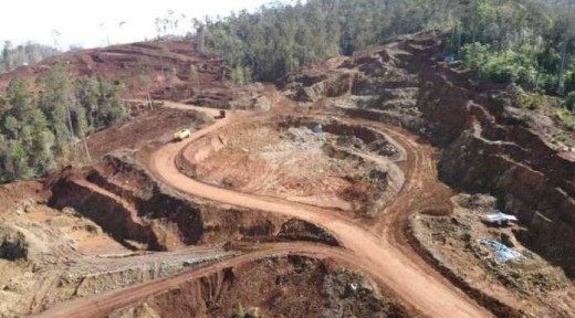 Dugaan Perambahan Hutan, Kejagung Diminta Panggil Ketua KADIN Sultra