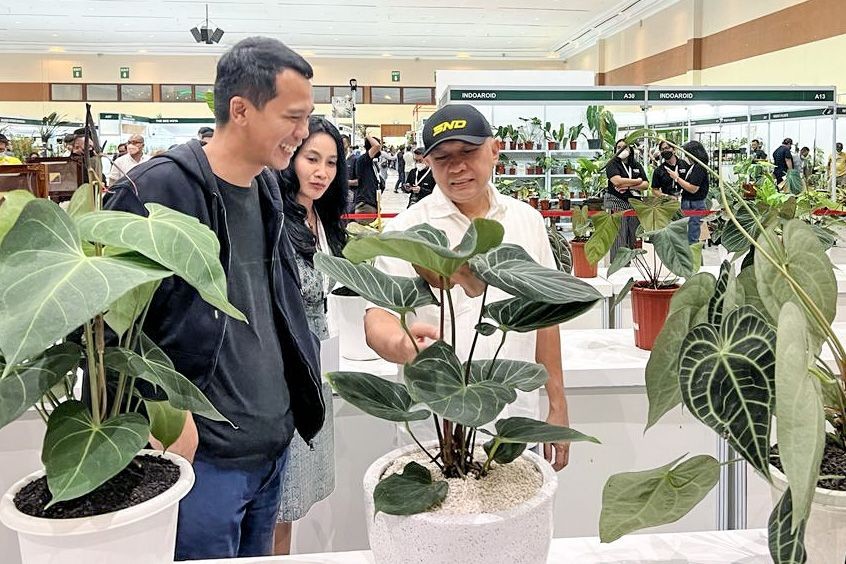 Teten: Indonesia Berpeluang Besar Kuasai Pasar Tanaman Hias