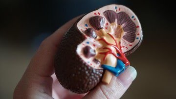 Fungsikan BRIN, Jangan Belum Apa-apa Mau Impor Obat Gagal Ginjal Akut!