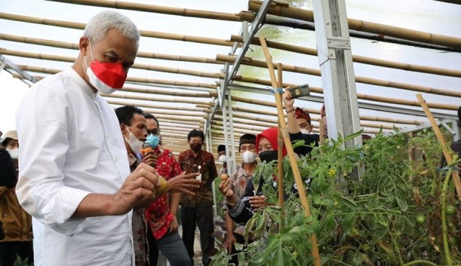 Ganjar Serukan Model Pertanian Organik Agar Petani Maju dan Warga Sehat